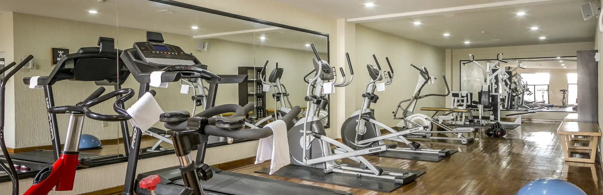 Gimnasio Hotel Imperio de Ángeles Executive León Guanajuato